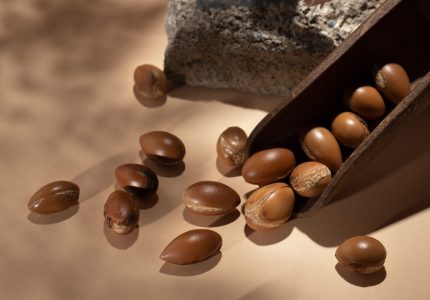 arrangement-natural-argan-seeds